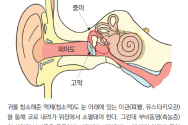 ⓒ머리앤코글로벌한의원