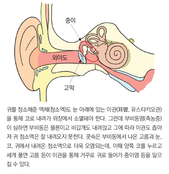 ⓒ머리앤코글로벌한의원