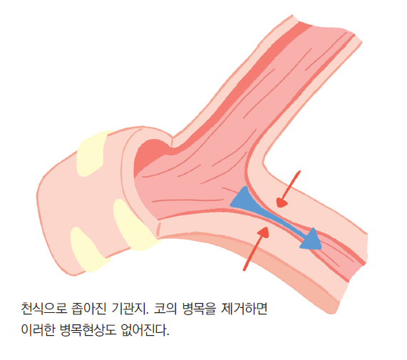 머리앤코글로벌한의원