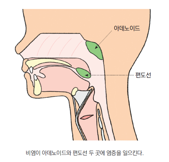 머리앤코글로벌한의원