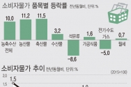 통계청이 2일 발표한 &#039;1월 소비자물가동향&#039;에 따르면 지난달 소비자물가지수는 106.47(2015=100)로 1년 전보다 0.6% 상승했다. 신선식품지수는 9.2% 상승했다. ⓒ뉴시스