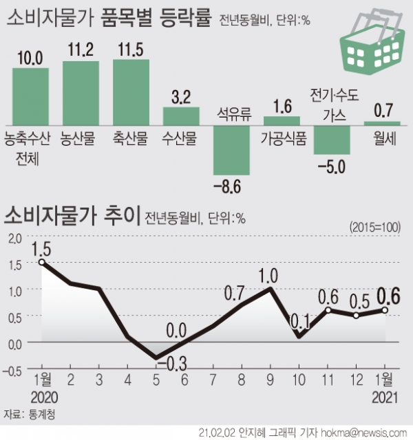 통계청이 2일 발표한 '1월 소비자물가동향'에 따르면 지난달 소비자물가지수는 106.47(2015=100)로 1년 전보다 0.6% 상승했다. 신선식품지수는 9.2% 상승했다. ⓒ뉴시스