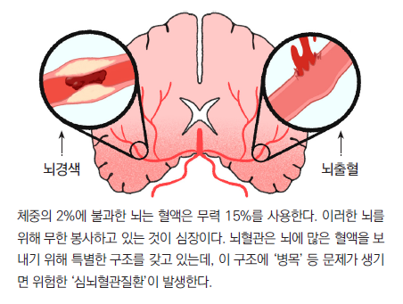 머리앤코글로벌한의원