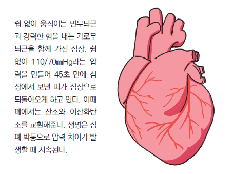 머리앤코글로벌한의원