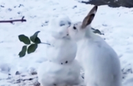 눈사람과 뽀뽀하는 흰 토끼