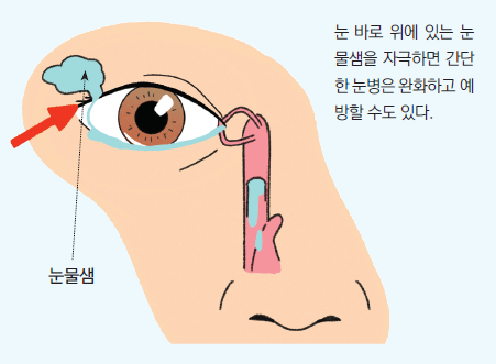 눈물샘 스위치