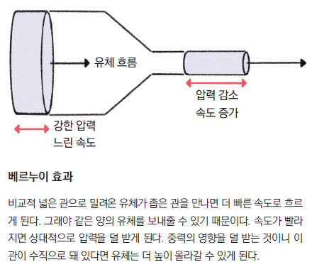 베르누이 효과