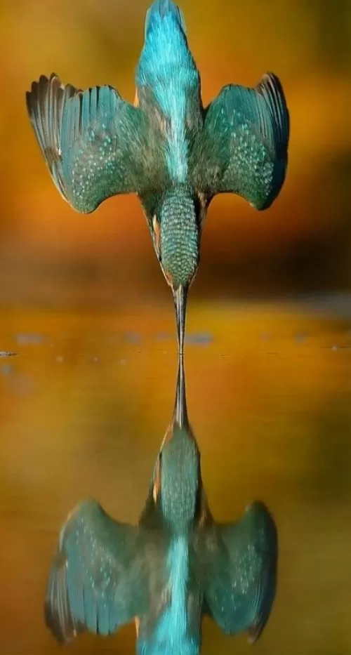 Alan McFadyen