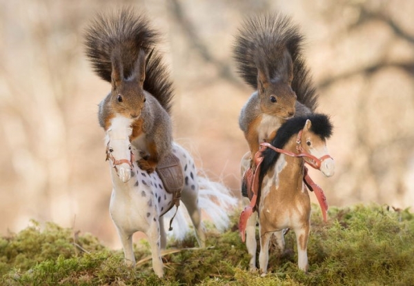 Geert Weggen