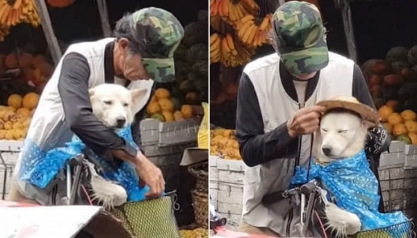 비가 오자 강아지 비옷 입혀주는 할아버지