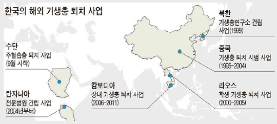 6.25의 기적들⑦ - 나운영의 '여호와는 나의 목자시니'