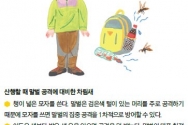 벌 쏘임 예방 및 대처요령