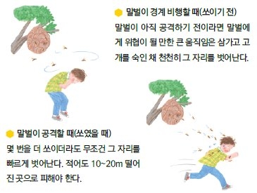 벌 쏘임 예방 및 대처요령