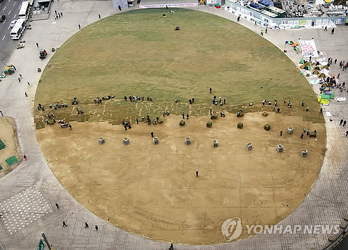 시청광장잔디교체