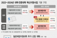 대학과 전문대학 혁신지원사업 기본 구조