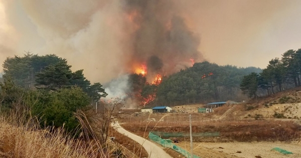 4일 경북 울진군 북면 두천리 289 일원에서 산불이 발생해 대형산불주의보가 발령되었다. (사진=소방청 제공