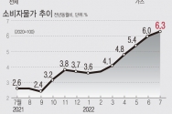 7월 물가 상승률이 6.3% 오르며 2개월 연속 6%대 상승률을 기록했다. 석유류와 외식 등 개인서비스 가격 강세가 지속되는 가운데 농축산물 오름 폭도 커졌다. ⓒ뉴시스