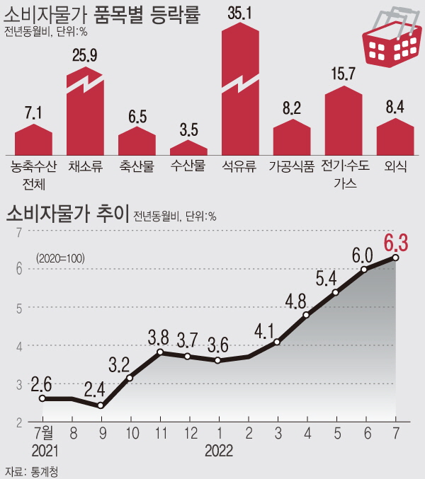 7월 물가 상승률이 6.3% 오르며 2개월 연속 6%대 상승률을 기록했다. 석유류와 외식 등 개인서비스 가격 강세가 지속되는 가운데 농축산물 오름 폭도 커졌다. ⓒ뉴시스