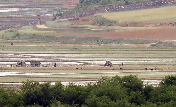 25일 경기 파주시 접경지역에서 바라본 북한 개풍군 마을에 주민들이 논농사를 짓고 있다.